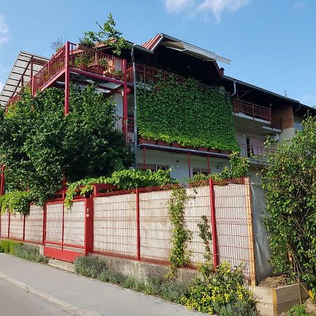Ljubljana'S Terrace Apartment Екстериор снимка