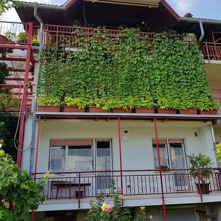 Ljubljana'S Terrace Apartment Екстериор снимка