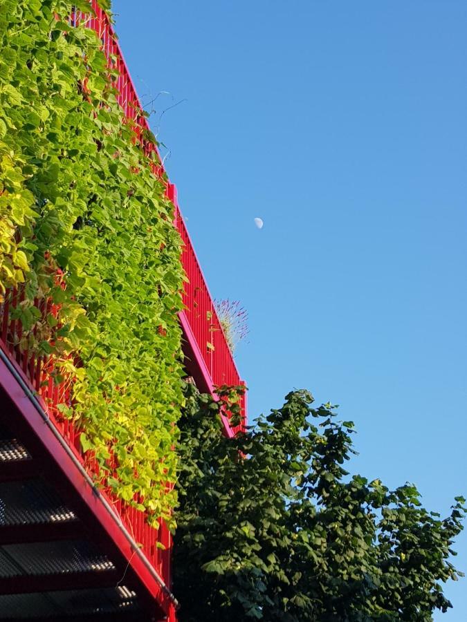 Ljubljana'S Terrace Apartment Екстериор снимка