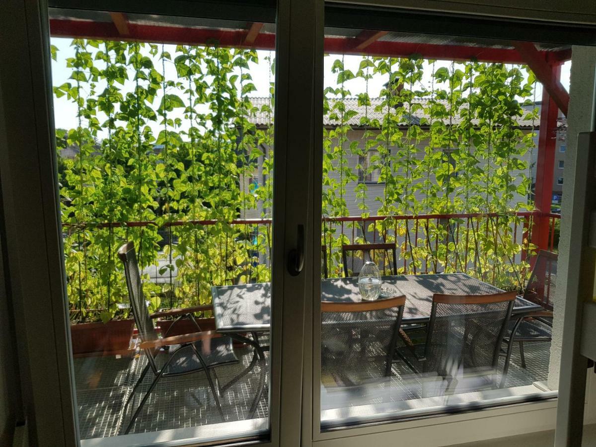 Ljubljana'S Terrace Apartment Екстериор снимка